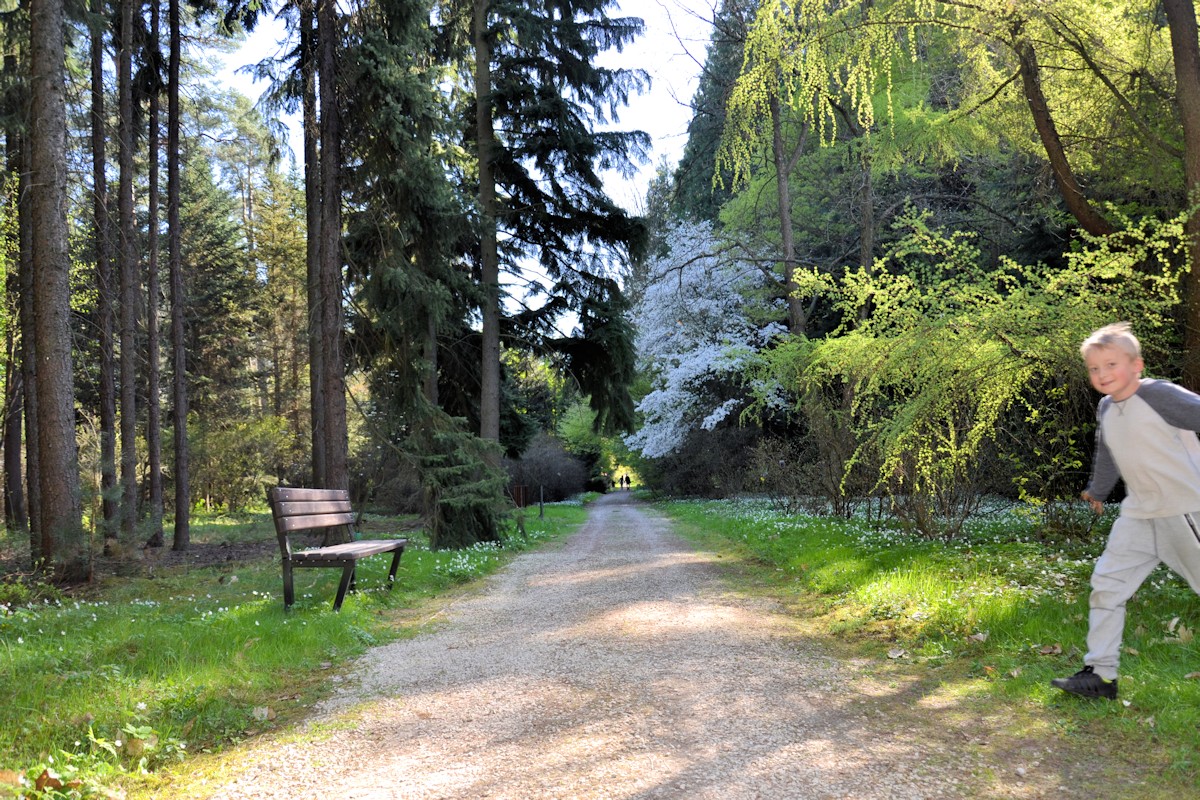 Piękne zakamarki województwa Łódzkiego, Arboretum w Rogowie.